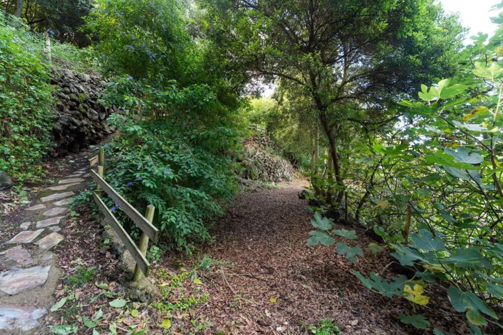 Finca El Molledo La Cuadra Διαμέρισμα Icod De Los Vinos Εξωτερικό φωτογραφία